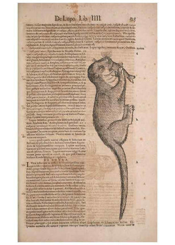 Reproducción/Reproduction 14948829773: Conradi Gesneri medici Tigurini Historiae animalium liber IV :. Francofurti :In Bibliopolio Andreae Cambieri,anno MDCIIII [1604]