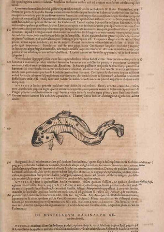 Reproducción/Reproduction 14948307564: Conradi Gesneri medici Tigurini Historiae animalium liber IV :. Francofurti :In Bibliopolio Andreae Cambieri,anno MDCIIII [1604]