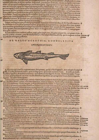 Reproducción/Reproduction 14948309454: Conradi Gesneri medici Tigurini Historiae animalium liber IV :. Francofurti :In Bibliopolio Andreae Cambieri,anno MDCIIII [1604]