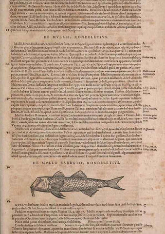 Reproducción/Reproduction 14948867613: Conradi Gesneri medici Tigurini Historiae animalium liber IV :. Francofurti :In Bibliopolio Andreae Cambieri,anno MDCIIII [1604]