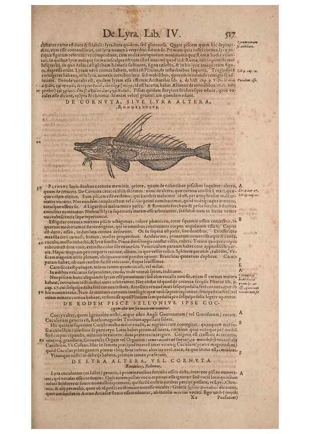 Reproducción/Reproduction 15566334201: Conradi Gesneri medici Tigurini Historiae animalium liber IV :. Francofurti :In Bibliopolio Andreae Cambieri,anno MDCIIII [1604]