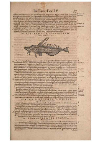 Reproducción/Reproduction 15566334201: Conradi Gesneri medici Tigurini Historiae animalium liber IV :. Francofurti :In Bibliopolio Andreae Cambieri,anno MDCIIII [1604]