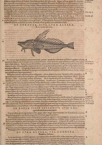 Reproducción/Reproduction 15566334201: Conradi Gesneri medici Tigurini Historiae animalium liber IV :. Francofurti :In Bibliopolio Andreae Cambieri,anno MDCIIII [1604]