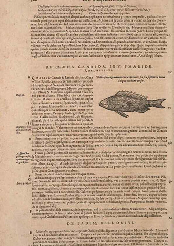 Reproducción/Reproduction 15566338411: Conradi Gesneri medici Tigurini Historiae animalium liber IV :. Francofurti :In Bibliopolio Andreae Cambieri,anno MDCIIII [1604]