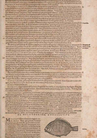 Reproducción/Reproduction 15382865498: Conradi Gesneri medici Tigurini Historiae animalium liber IV :. Francofurti :In Bibliopolio Andreae Cambieri,anno MDCIIII [1604]