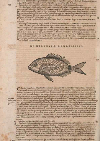 Reproducción/Reproduction 15383010487: Conradi Gesneri medici Tigurini Historiae animalium liber IV :. Francofurti :In Bibliopolio Andreae Cambieri,anno MDCIIII [1604]