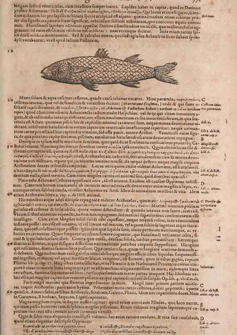 Reproducción/Reproduction 15383398350: Conradi Gesneri medici Tigurini Historiae animalium liber IV :. Francofurti :In Bibliopolio Andreae Cambieri,anno MDCIIII [1604]