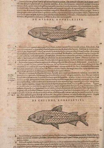 Reproducción/Reproduction 14948281634: Conradi Gesneri medici Tigurini Historiae animalium liber IV :. Francofurti :In Bibliopolio Andreae Cambieri,anno MDCIIII [1604]