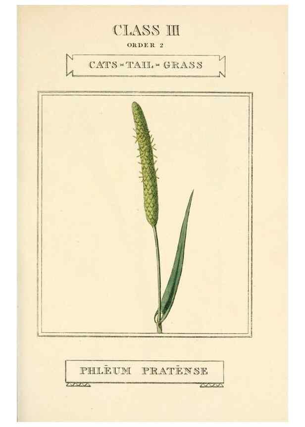 Reproducción/Reproduction 9787653096: Elements of the science of botany,. London,Printed by T. Bensley for J. Murray.1812.