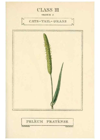 Reproducción/Reproduction 9787653096: Elements of the science of botany,. London,Printed by T. Bensley for J. Murray.1812.