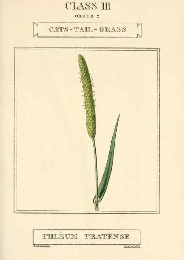Reproducción/Reproduction 9787653096: Elements of the science of botany,. London,Printed by T. Bensley for J. Murray.1812.