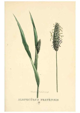 Reproducción/Reproduction 9787448702: Elements of the science of botany,. London,Printed by T. Bensley for J. Murray.1812.