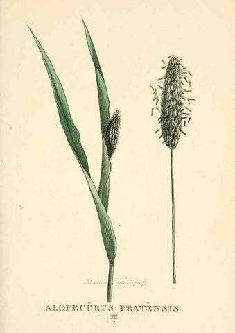 Reproducción/Reproduction 9787448702: Elements of the science of botany,. London,Printed by T. Bensley for J. Murray.1812.