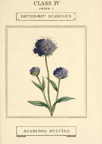 Reproducción/Reproduction 9787459812: Elements of the science of botany,. London,Printed by T. Bensley for J. Murray.1812.