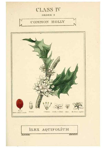 Reproducción/Reproduction 9787455591: Elements of the science of botany,. London,Printed by T. Bensley for J. Murray.1812.