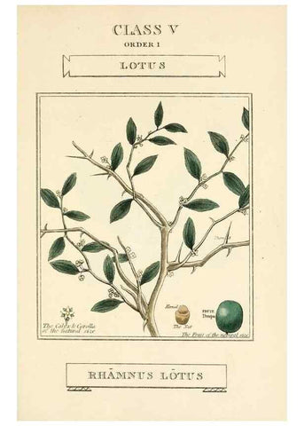 Reproducción/Reproduction 9787675326: Elements of the science of botany,. London,Printed by T. Bensley for J. Murray.1812.