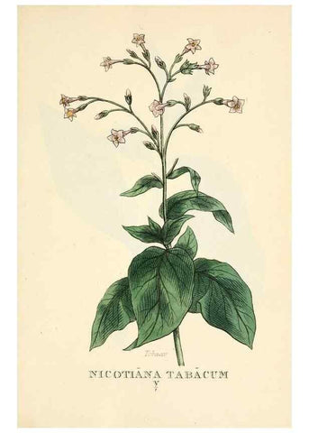 Reproducción/Reproduction 9787680296: Elements of the science of botany,. London,Printed by T. Bensley for J. Murray.1812.