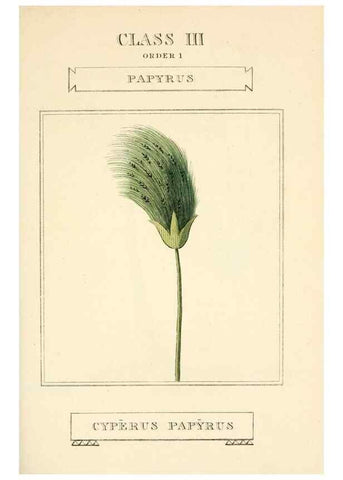 Reproducción/Reproduction 9787634334: Elements of the science of botany,. London,Printed by T. Bensley for J. Murray.1812.