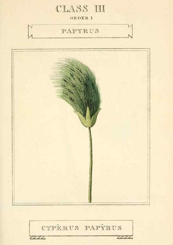 Reproducción/Reproduction 9787634334: Elements of the science of botany,. London,Printed by T. Bensley for J. Murray.1812.