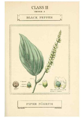 Reproducción/Reproduction 9787617325: Elements of the science of botany,. London,Printed by T. Bensley for J. Murray.1812.