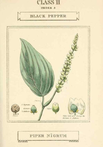 Reproducción/Reproduction 9787617325: Elements of the science of botany,. London,Printed by T. Bensley for J. Murray.1812.
