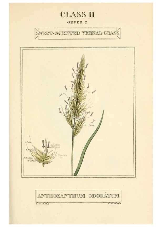 Reproducción/Reproduction 9787628964: Elements of the science of botany,. London,Printed by T. Bensley for J. Murray.1812.