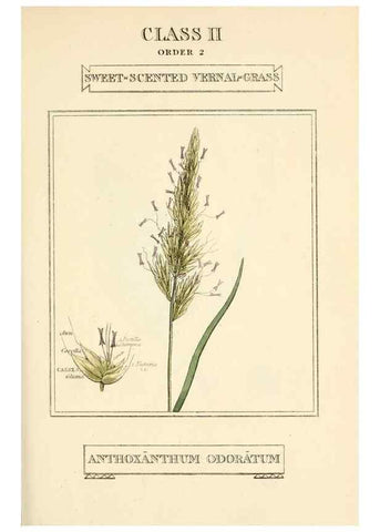 Reproducción/Reproduction 9787628964: Elements of the science of botany,. London,Printed by T. Bensley for J. Murray.1812.