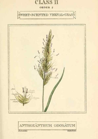 Reproducción/Reproduction 9787628964: Elements of the science of botany,. London,Printed by T. Bensley for J. Murray.1812.