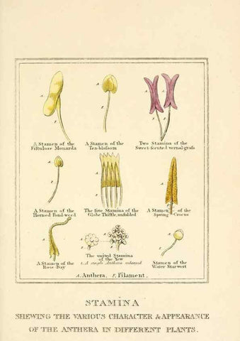 Reproducción/Reproduction 9787680043: Elements of the science of botany,. London,Printed by T. Bensley for J. Murray.1812.