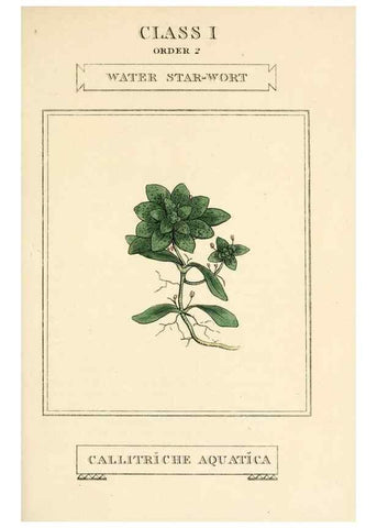 Reproducción/Reproduction 9787631516: Elements of the science of botany,. London,Printed by T. Bensley for J. Murray.1812.