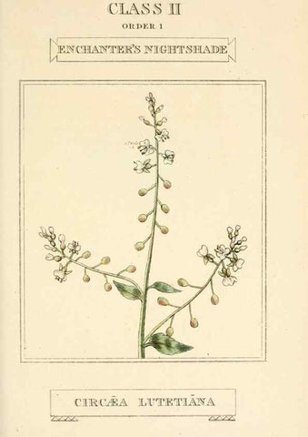 Reproducción/Reproduction 9787634056: Elements of the science of botany,. London,Printed by T. Bensley for J. Murray.1812.