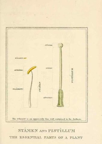 Reproducción/Reproduction 9787593575: Elements of the science of botany,. London,Printed by T. Bensley for J. Murray.1812.