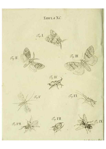 Reproducción/Reproduction 9730197699: Iacobi Christiani Shaefferi Icones insectorvm circa Ratisbonam :. Ratisbonae :Typis Zeitlerianis,1791.