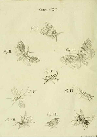Reproducción/Reproduction 9730197699: Iacobi Christiani Shaefferi Icones insectorvm circa Ratisbonam :. Ratisbonae :Typis Zeitlerianis,1791.
