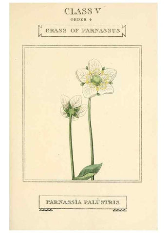 Reproducción/Reproduction 9787491092: Elements of the science of botany,. London,Printed by T. Bensley for J. Murray.1812.