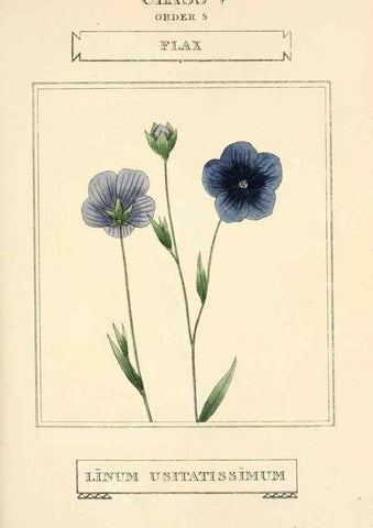 Reproducción/Reproduction 9787493792: Elements of the science of botany,. London,Printed by T. Bensley for J. Murray.1812.