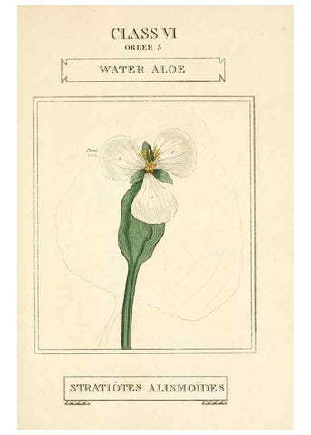 Reproducción/Reproduction 9787719026: Elements of the science of botany,. London,Printed by T. Bensley for J. Murray.1812.