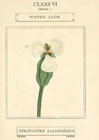 Reproducción/Reproduction 9787719026: Elements of the science of botany,. London,Printed by T. Bensley for J. Murray.1812.