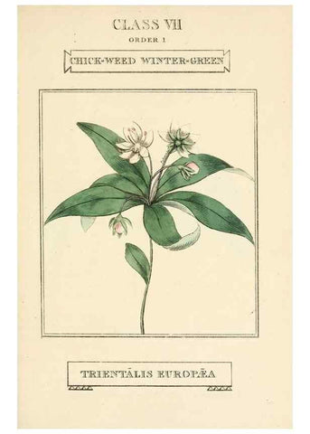 Reproducción/Reproduction 9787508341: Elements of the science of botany,. London,Printed by T. Bensley for J. Murray.1812.