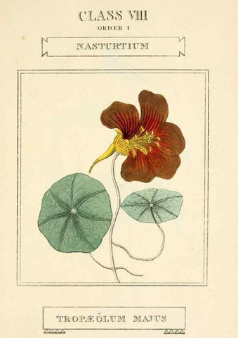 Reproducción/Reproduction 9787706595: Elements of the science of botany,. London,Printed by T. Bensley for J. Murray.1812.
