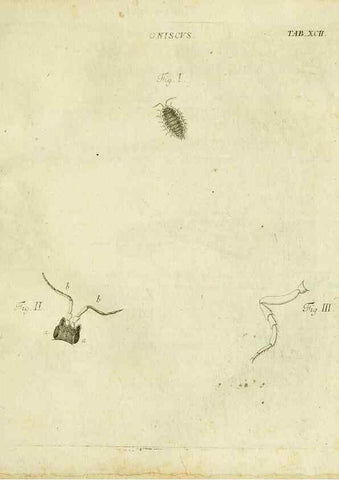 Reproducción/Reproduction 9733401020: Iacobi Christiani Shaefferi Icones insectorvm circa Ratisbonam :. Ratisbonae :Typis Zeitlerianis,1791.