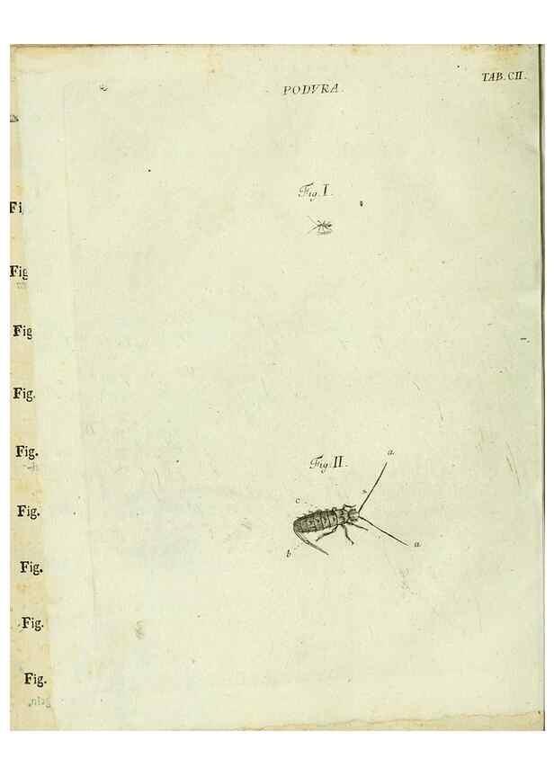 Reproducción/Reproduction 9730177233: Iacobi Christiani Shaefferi Icones insectorvm circa Ratisbonam :. Ratisbonae :Typis Zeitlerianis,1791.