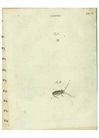 Reproducción/Reproduction 9730177233: Iacobi Christiani Shaefferi Icones insectorvm circa Ratisbonam :. Ratisbonae :Typis Zeitlerianis,1791.