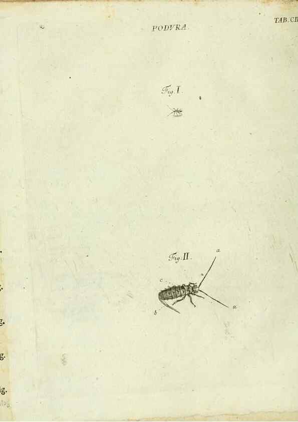 Reproducción/Reproduction 9730177233: Iacobi Christiani Shaefferi Icones insectorvm circa Ratisbonam :. Ratisbonae :Typis Zeitlerianis,1791.
