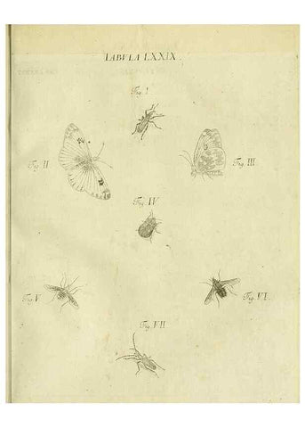 Reproducción/Reproduction 9733414490: Iacobi Christiani Shaefferi Icones insectorvm circa Ratisbonam :. Ratisbonae :Typis Zeitlerianis,1791.