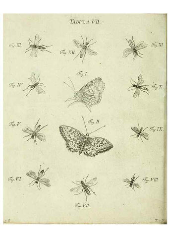 Reproducción/Reproduction 9730169109: Iacobi Christiani Shaefferi Icones insectorvm circa Ratisbonam :. Ratisbonae :Typis Zeitlerianis,1791.