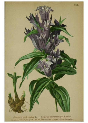 Reproducción/Reproduction 10192598376: Atlas der Alpenflora /. Wien :Eigenthum und Verlag des Deutschen und Oesterr. Alpenvereins,1882.