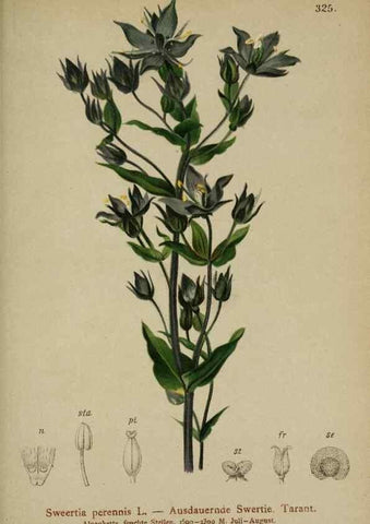 Reproducción/Reproduction 10192375874: Atlas der Alpenflora /. Wien :Eigenthum und Verlag des Deutschen und Oesterr. Alpenvereins,1882.