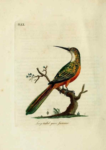 Reproducción/Reproduction 10310514465: A general history of birds /. Winchester [England] :Printed by Jacob and Johnson, for the author : sold in London by G. and W.B. Whittaker ... [and 3 others],1821-1828.