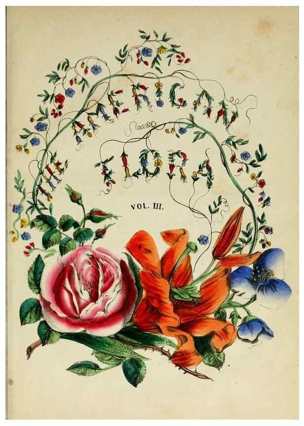 Reproducción/Reproduction 10172587056: The American flora :. New York :Hull & Spencer,1855.